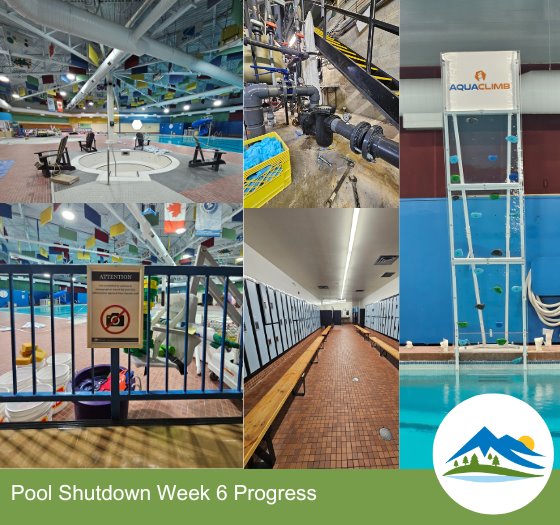 Week 6 Pool Progress