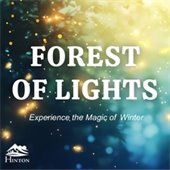 Forest of Lights