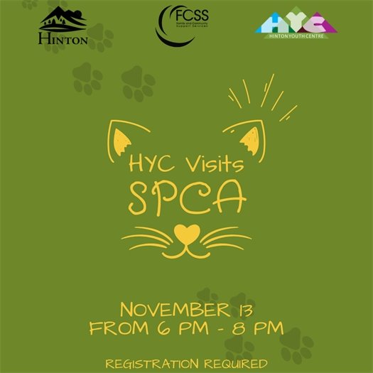 YC SPCA