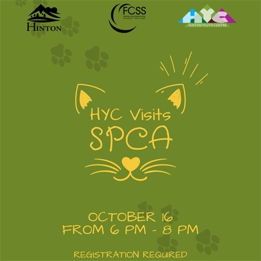 YC SPCA