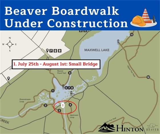 Beaver Boardwalk Construction Small Bridge