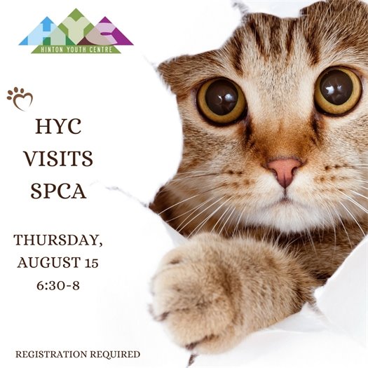 YC SPCA