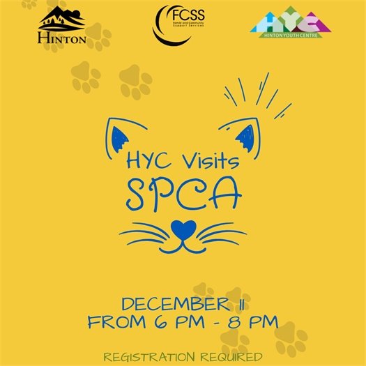 YC SPCA