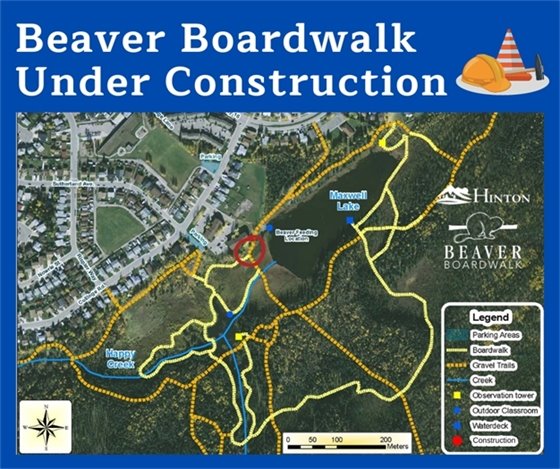 Beaver Boardwalk Construction 