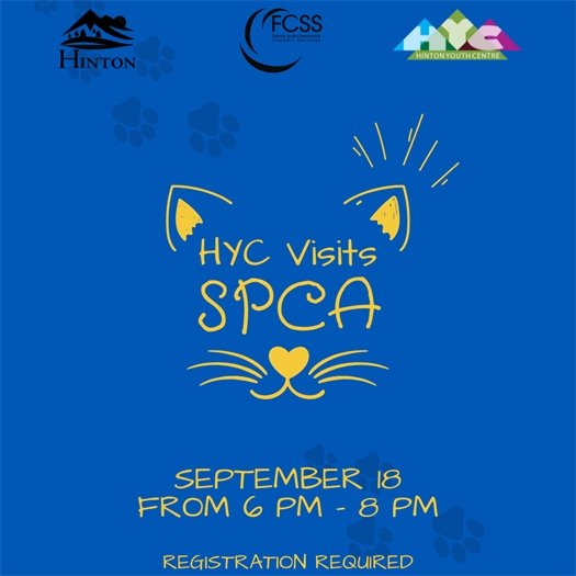 YC SPCA