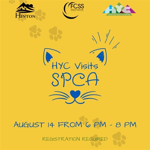 YC SPCA
