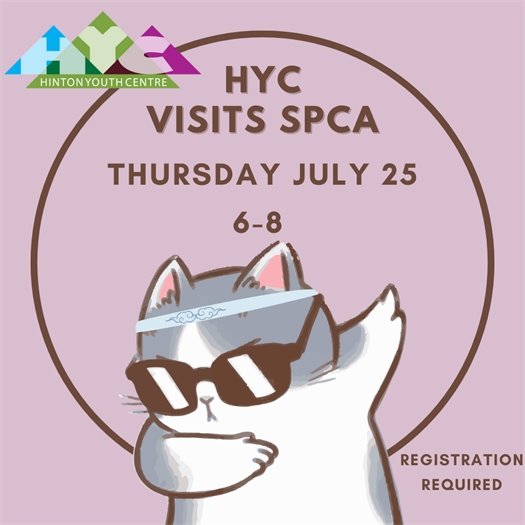 YC SPCA Volunteering