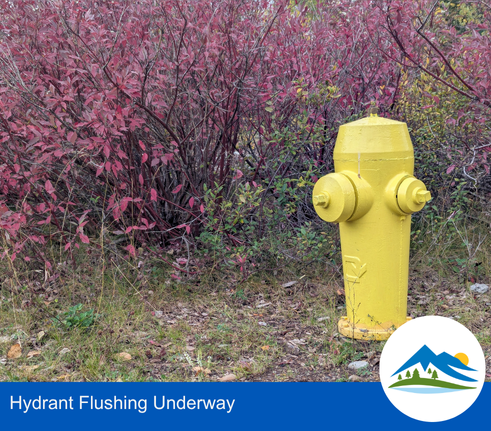 Hydrant flushing