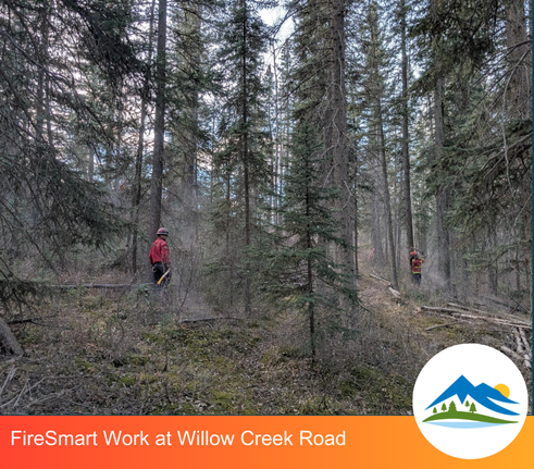 Willow Creek FireSmart